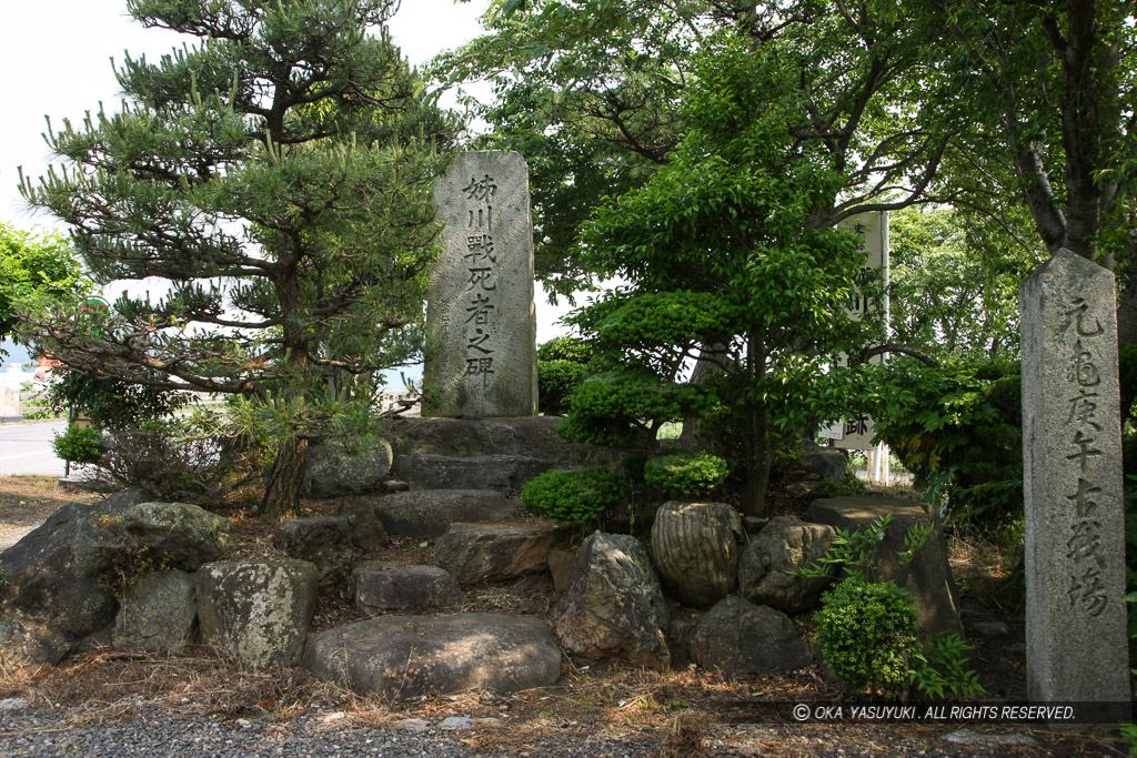 姉川戦死者之碑