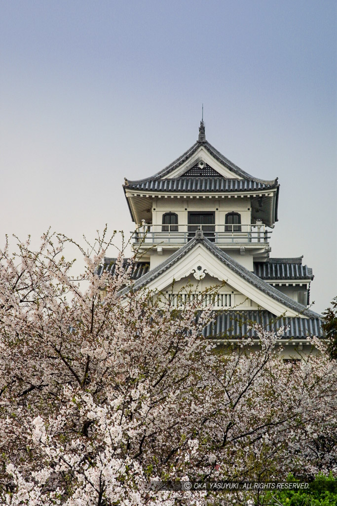 春の長浜城