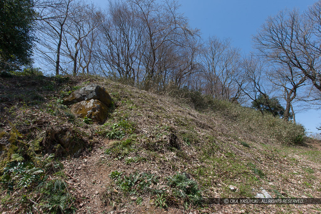 佐和山城本丸隅石垣