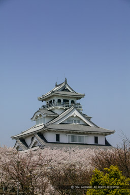 春の長浜城｜高解像度画像サイズ：2704 x 4064 pixels｜写真番号：100-0012S53B｜撮影：Canon EOS-1DS