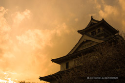 夕焼けに染まる長浜城｜高解像度画像サイズ：2160 x 1440 pixels｜写真番号：107-0789_IMG｜撮影：Canon EOS D30