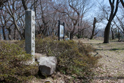 佐和山城本丸石碑｜高解像度画像サイズ：5616 x 3744 pixels｜写真番号：1P3J4321｜撮影：Canon EOS-1Ds Mark III