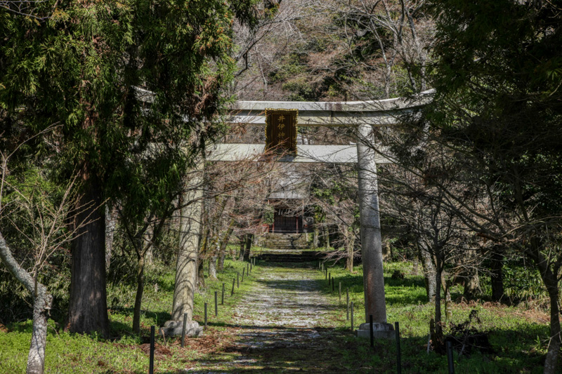 井伊神社鳥居