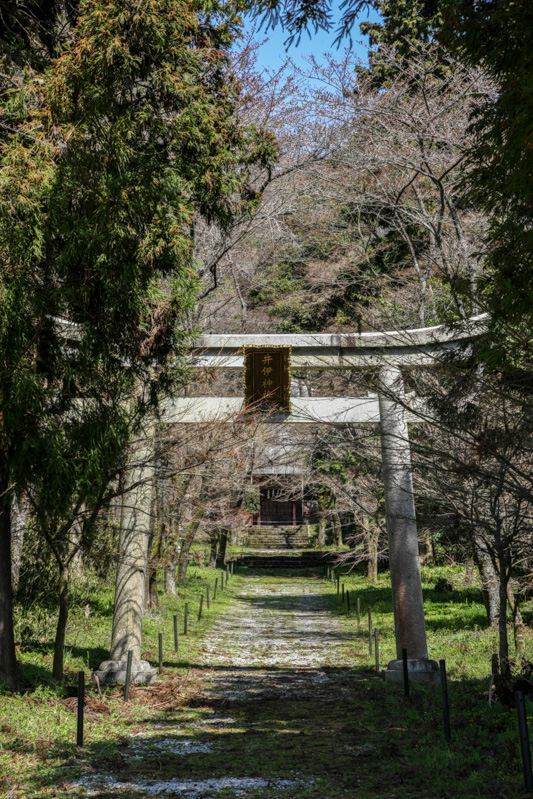 井伊神社鳥居