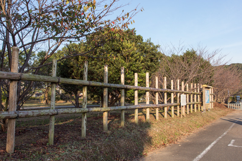 馬防柵・初陣・長浜表の戦い