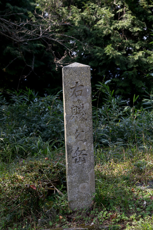 賤ヶ岳リフト乗り場から賤ヶ岳砦へ