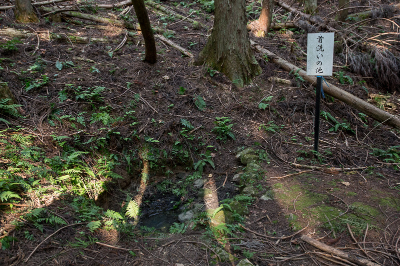 首洗いの池