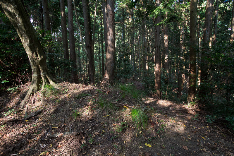 大岩山砦土塁