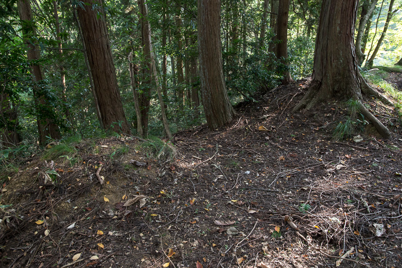 大岩山砦虎口跡