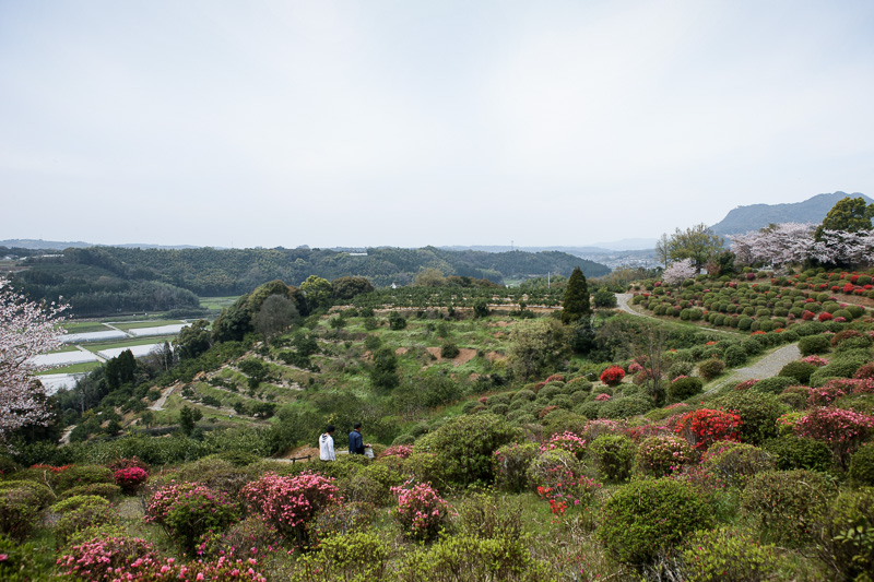 田原坂公園