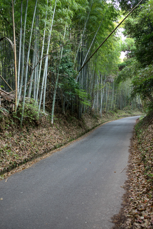 田原坂