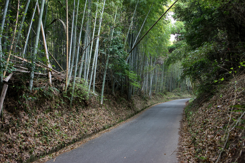 田原坂