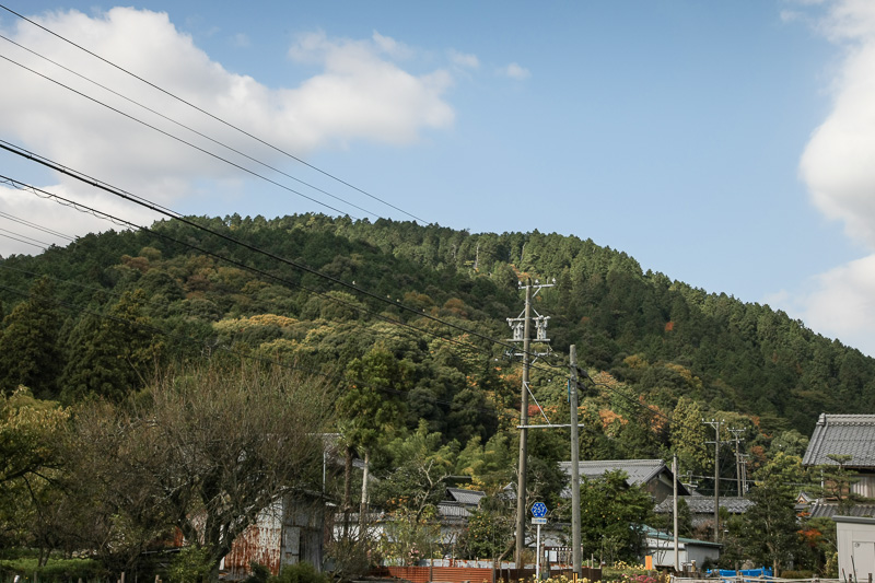 菩提山城