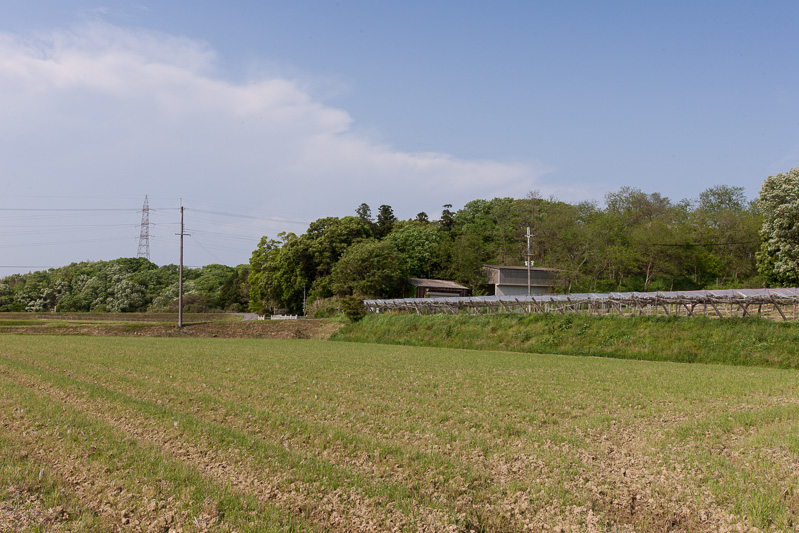 平井山本陣跡を望む