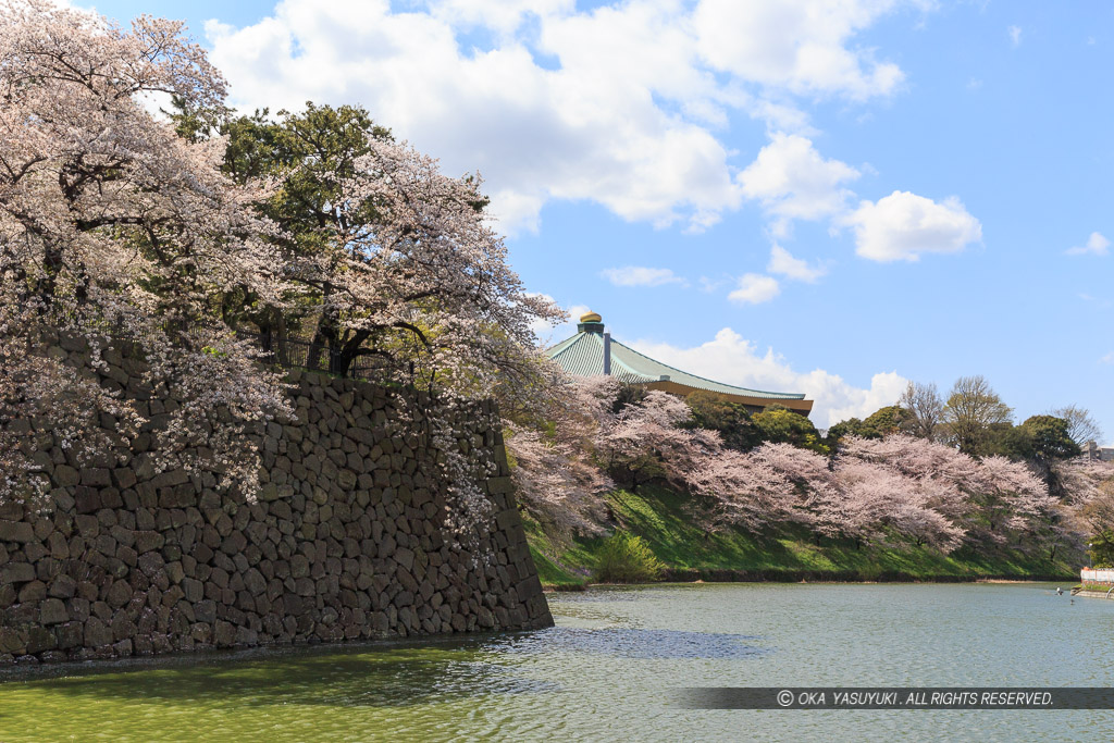 江戸城北の丸の桜