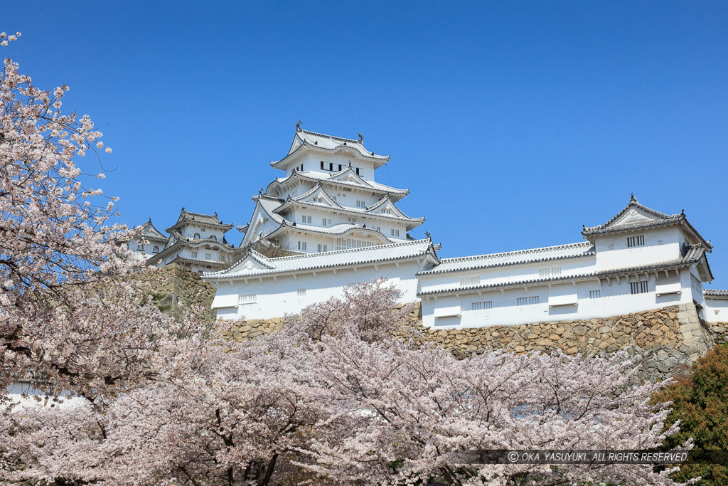 姫路城三の丸から春の風景