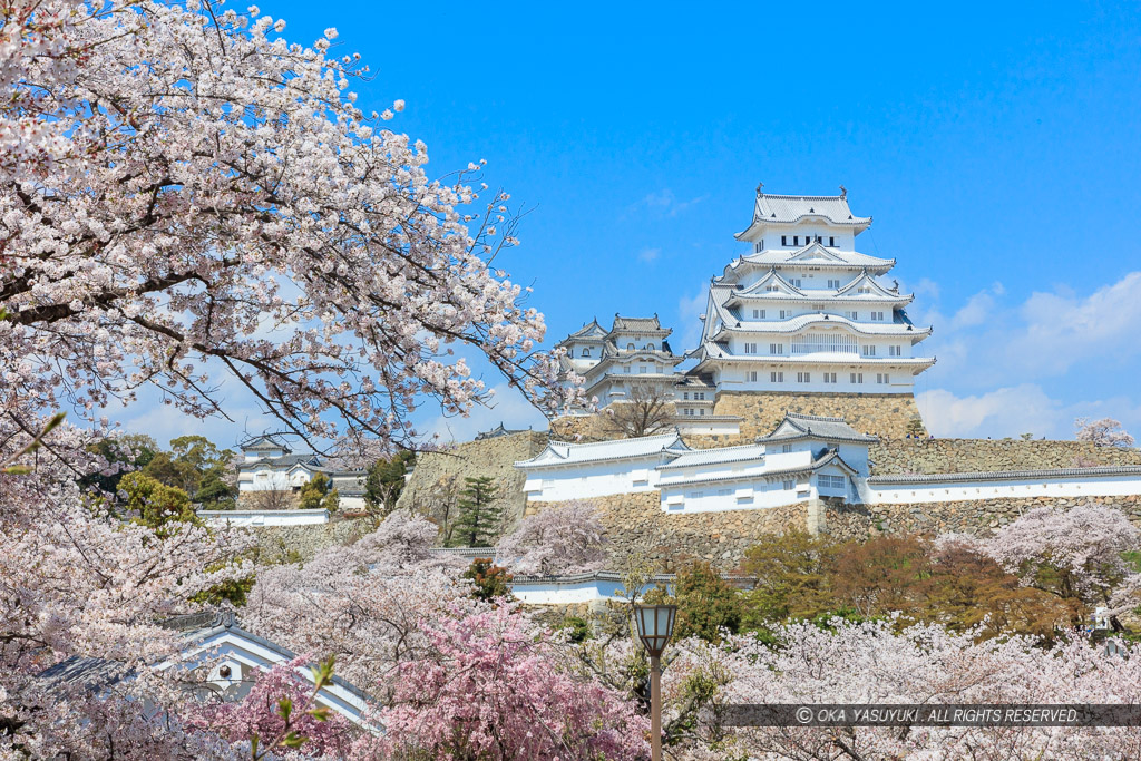 姫路城三の丸から春の風景