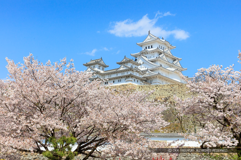 姫路城三国堀から春の風景