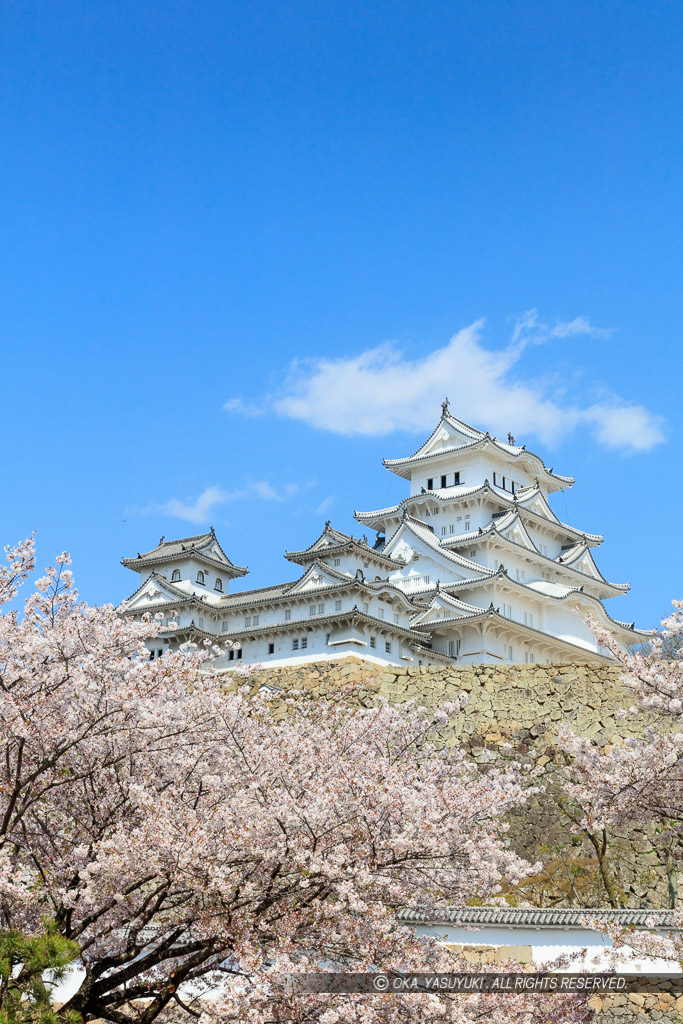 姫路城三国堀から春の風景