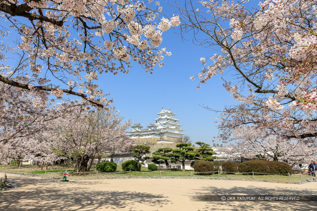 姫路城西の丸から天守群を望む