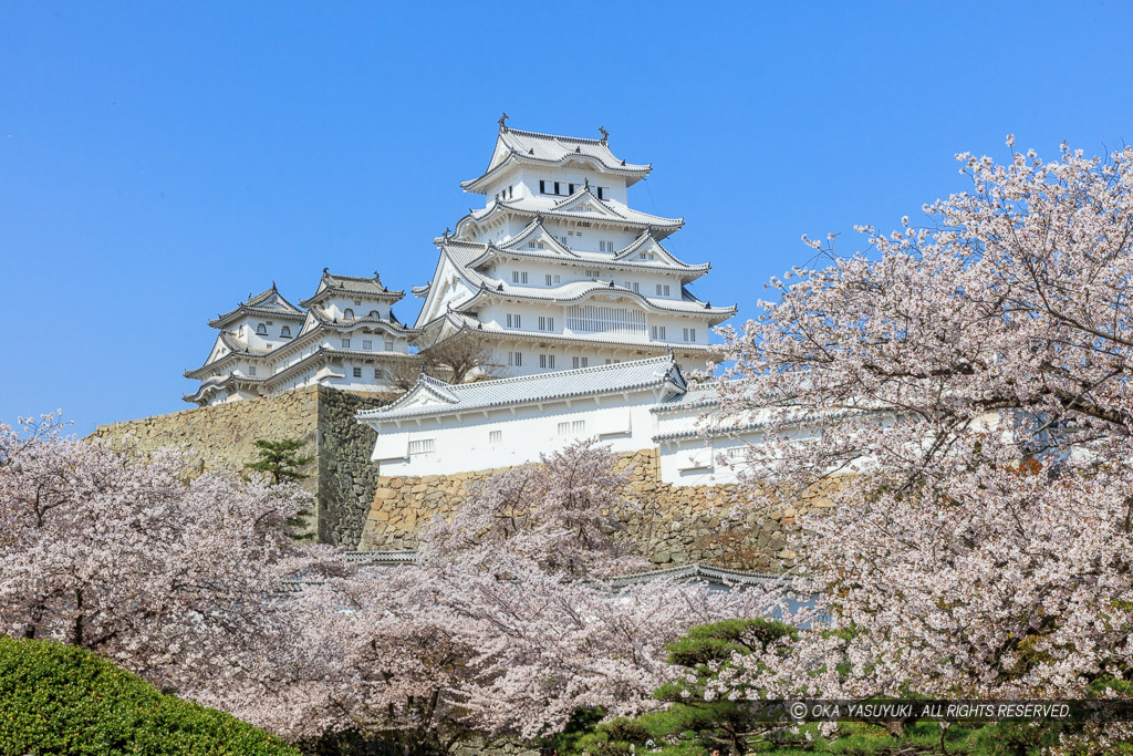 姫路城三の丸から春の風景