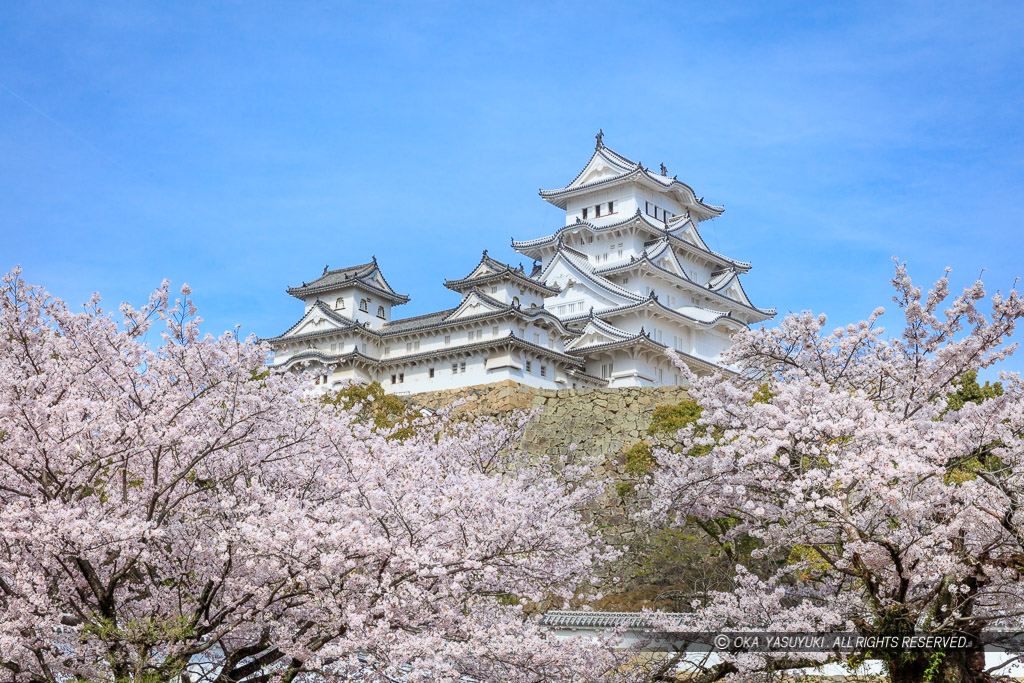 姫路城三国堀から春の風景