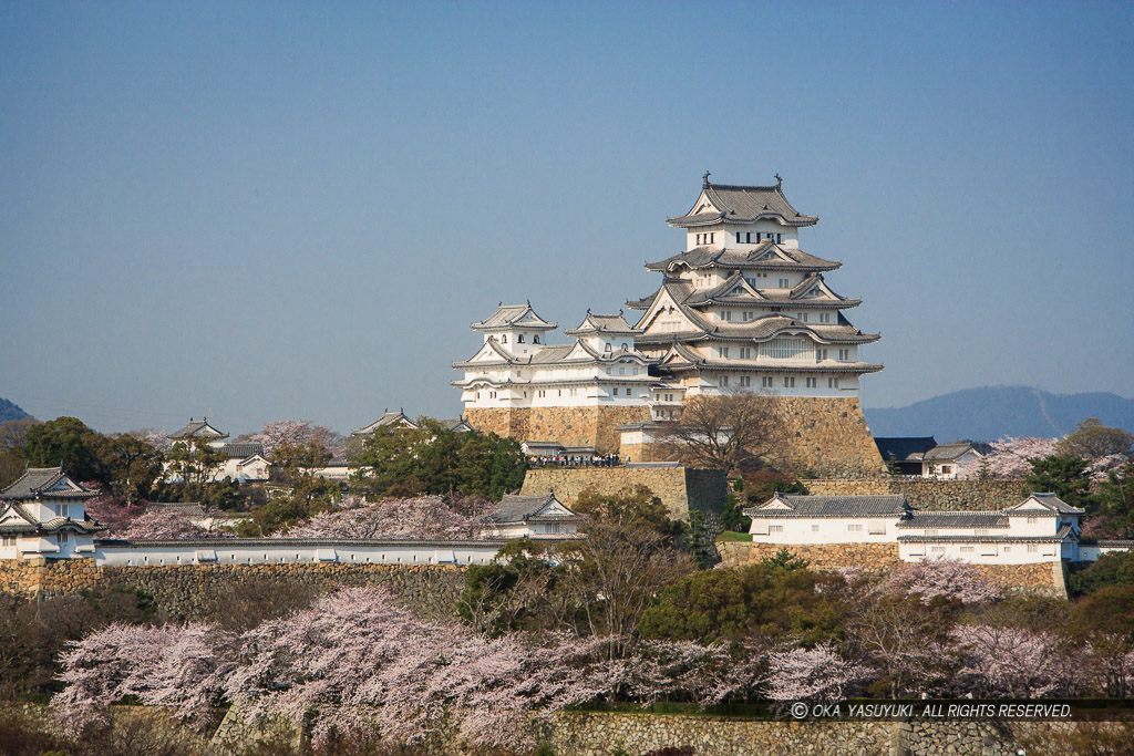 春の姫路城全景（平成の修理前）