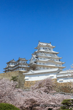 姫路城三の丸から春の風景｜高解像度画像サイズ：5495 x 8242 pixels｜写真番号：5DSA4947｜撮影：Canon EOS 5DS