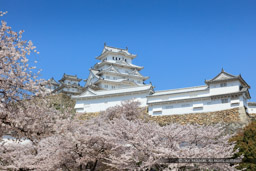 姫路城三の丸から春の風景｜高解像度画像サイズ：8688 x 5792 pixels｜写真番号：5DSA4957｜撮影：Canon EOS 5DS