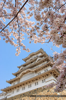 姫路城備前丸から見上げる天守｜高解像度画像サイズ：3237 x 4855 pixels｜写真番号：VJ7Z4547｜撮影：Canon EOS-1Ds Mark II