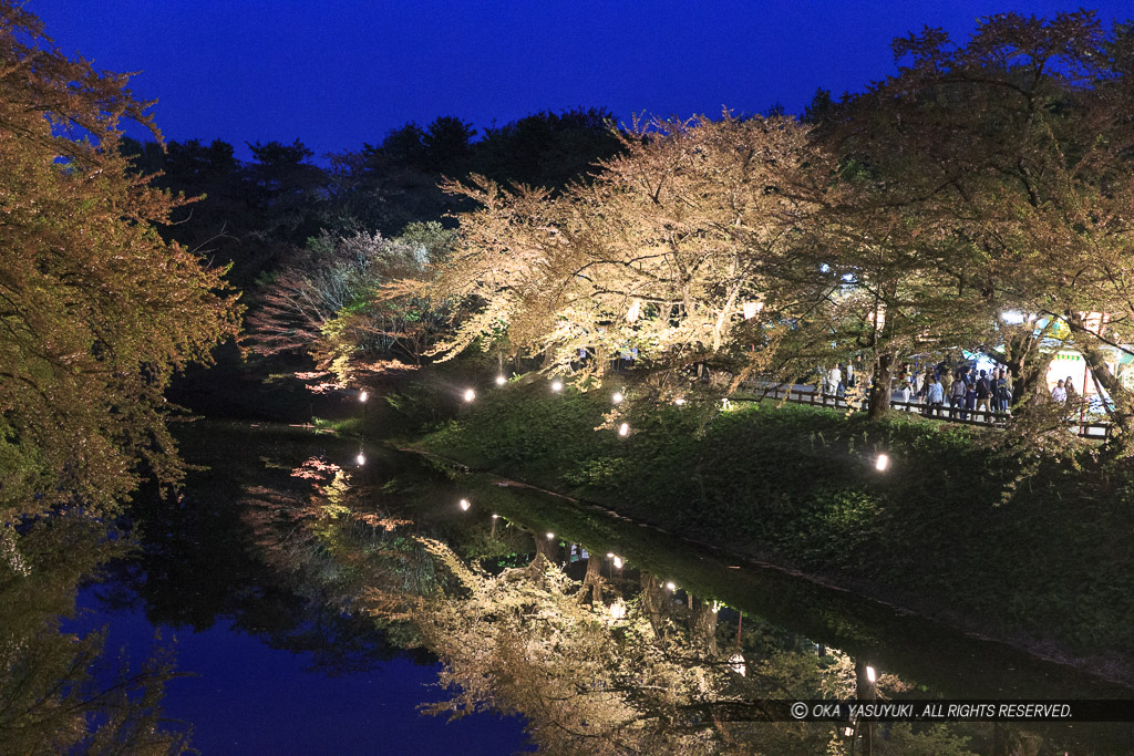 夜桜