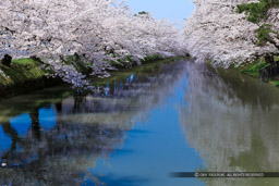 ｜高解像度画像サイズ：5119 x 3413 pixels｜写真番号：1DX_8578｜撮影：Canon EOS-1D X