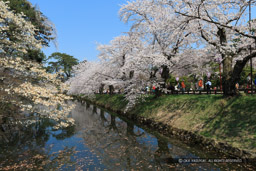 ｜高解像度画像サイズ：5184 x 3456 pixels｜写真番号：1DX_8752｜撮影：Canon EOS-1D X