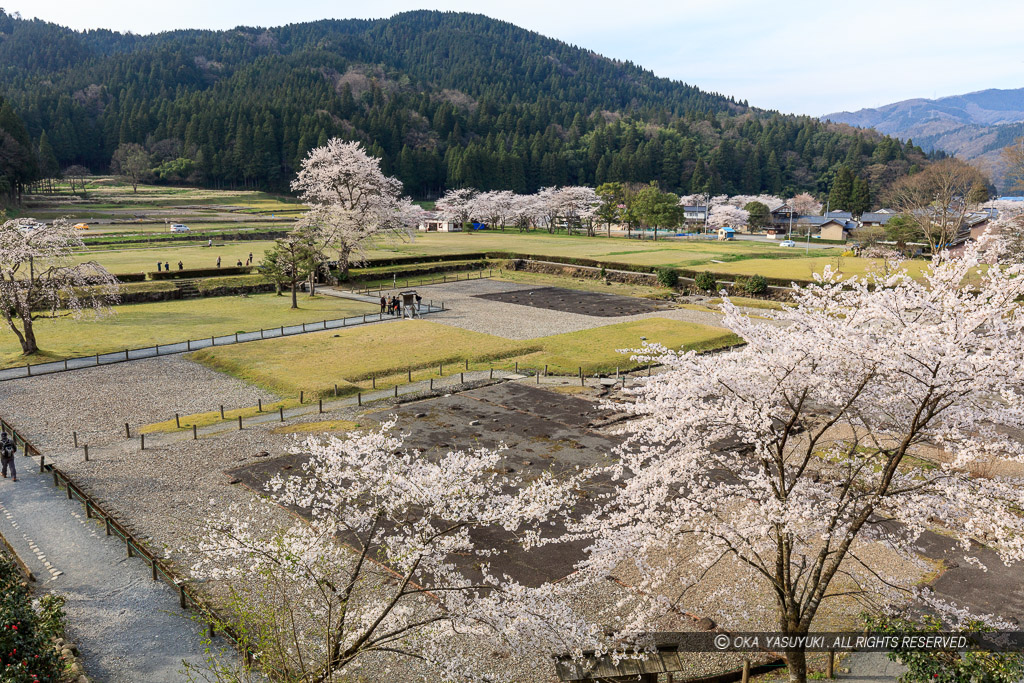 朝倉館跡