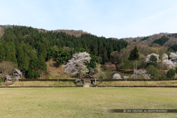 朝倉館跡｜高解像度画像サイズ：8671 x 5781 pixels｜写真番号：5DSA5565｜撮影：Canon EOS 5DS