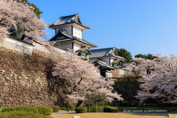 金沢城の桜・石川門・石川櫓｜高解像度画像サイズ：8192 x 5464 pixels｜写真番号：344A0995｜撮影：Canon EOS R5