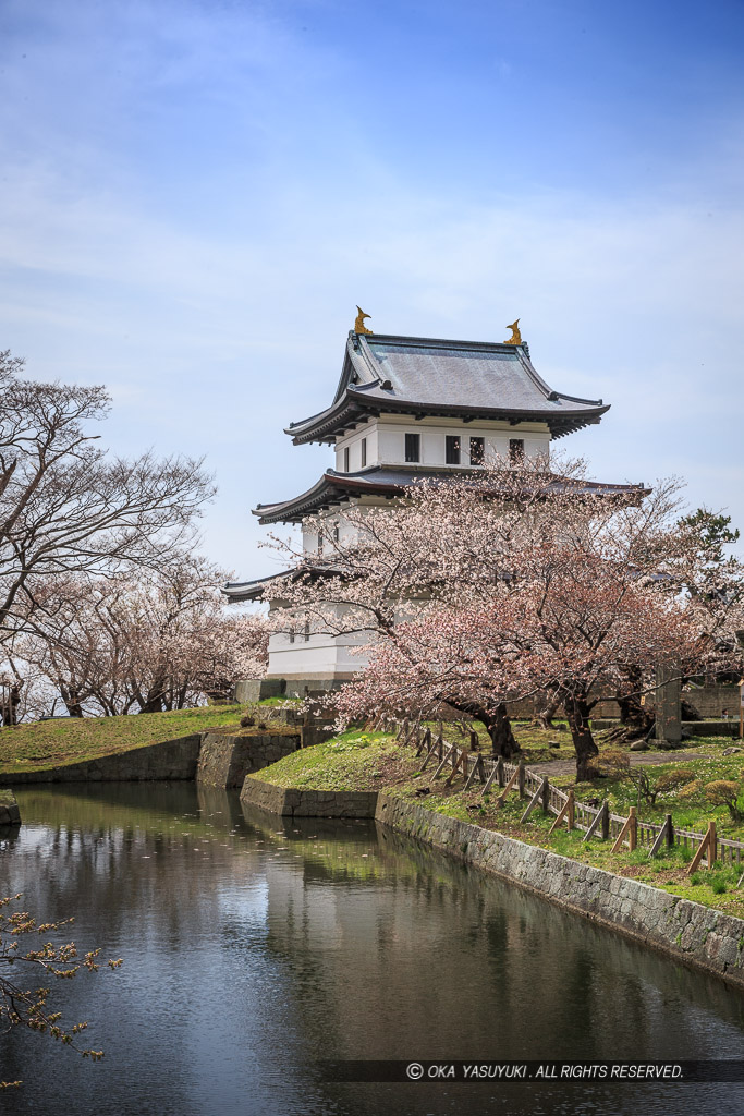 松前城の桜・天守・内堀