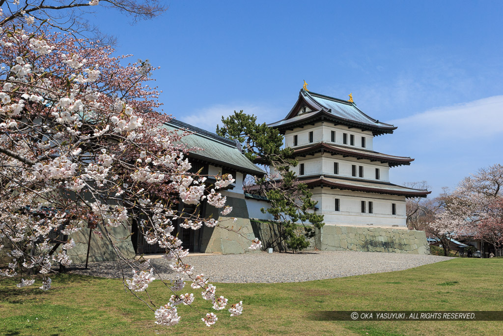 松前城の桜と天守
