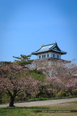 松前城の天守風景｜高解像度画像サイズ：3404 x 5107 pixels｜写真番号：1DX_9959｜撮影：Canon EOS-1D X