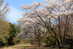 大広間・天守台｜高解像度画像サイズ：6766 x 4511 pixels｜写真番号：5DSA5763｜撮影：Canon EOS 5DS