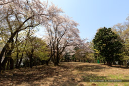 大広間｜高解像度画像サイズ：8576 x 5717 pixels｜写真番号：5DSA5786｜撮影：Canon EOS 5DS