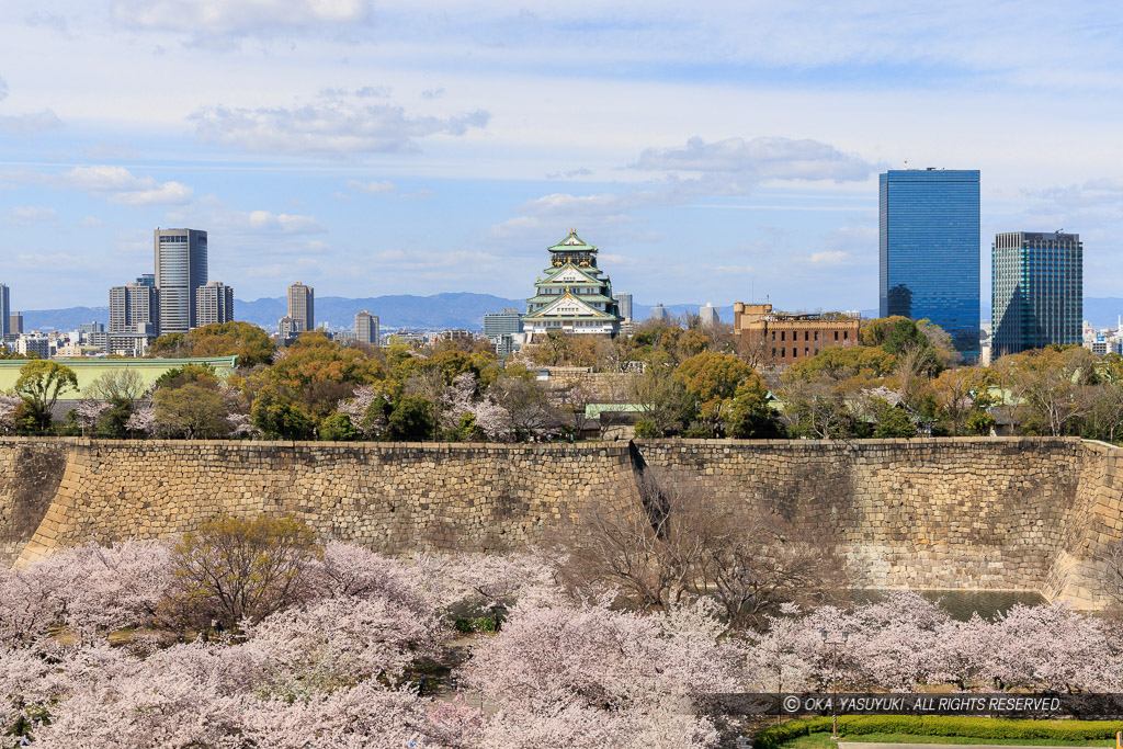 大阪城の桜・KKRホテル大阪から