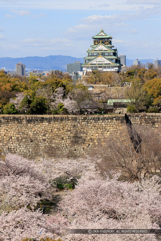 大阪城の桜・KKRホテル大阪から