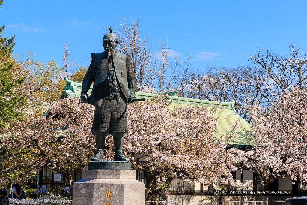 大阪城の桜・豊国神社