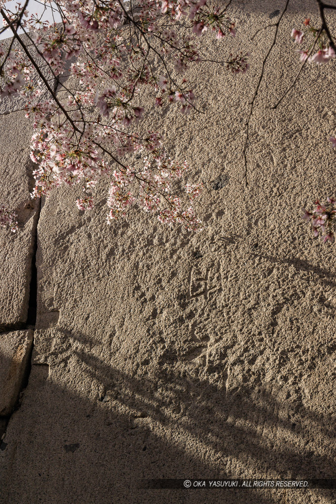 大阪城の桜・大手虎口・刻印