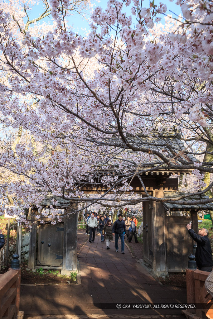 問屋門