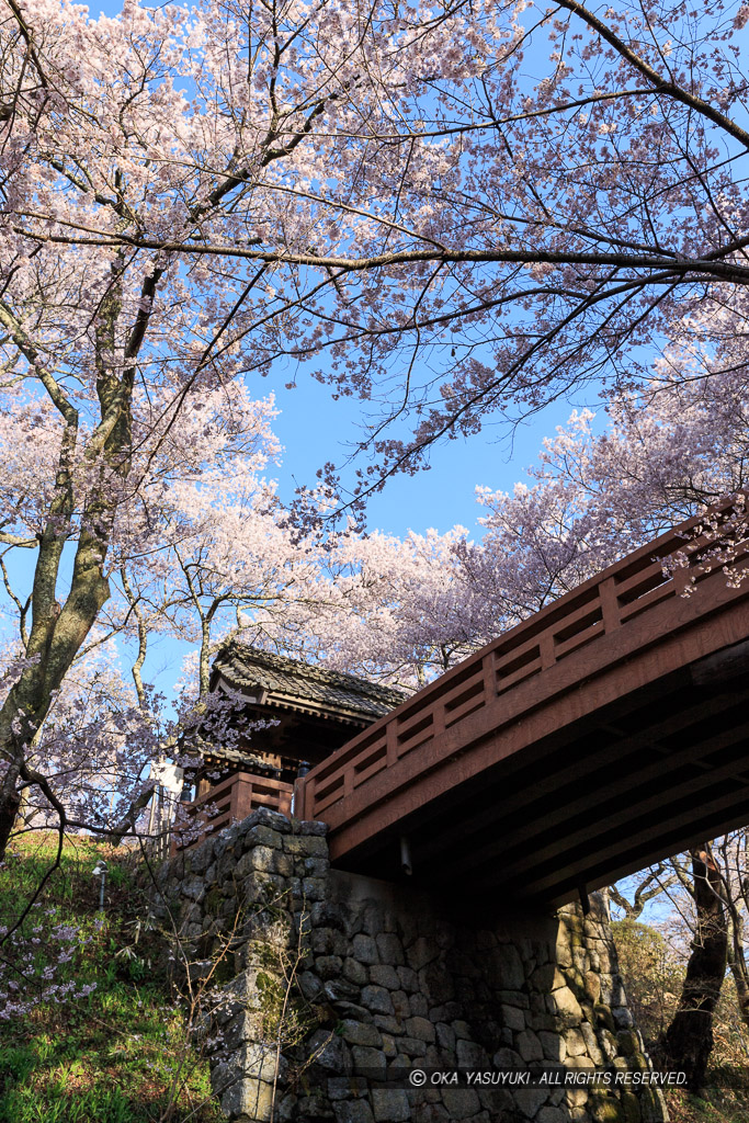 高遠城の桜・問屋門