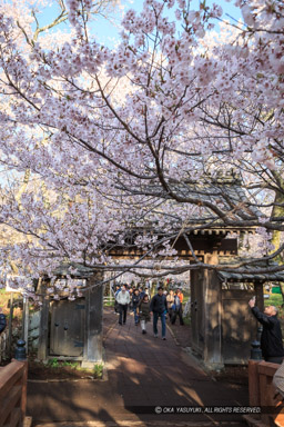 問屋門｜高解像度画像サイズ：3195 x 4793 pixels｜写真番号：1DX_8060｜撮影：Canon EOS-1D X