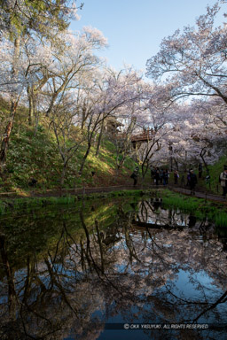 ｜高解像度画像サイズ：3456 x 5184 pixels｜写真番号：1DX_8094｜撮影：Canon EOS-1D X