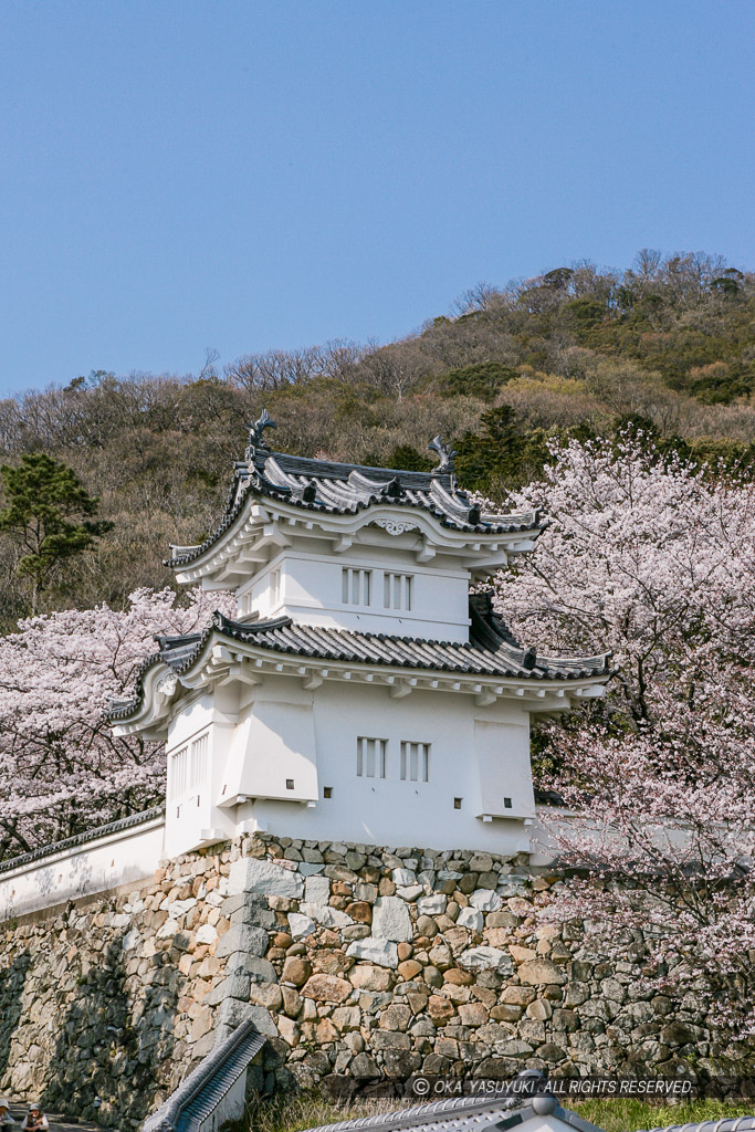 龍野城の桜